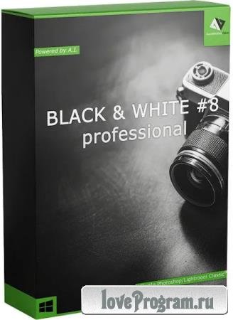 Franzis BLACK & WHITE Professional 8.25.04078 + Portable